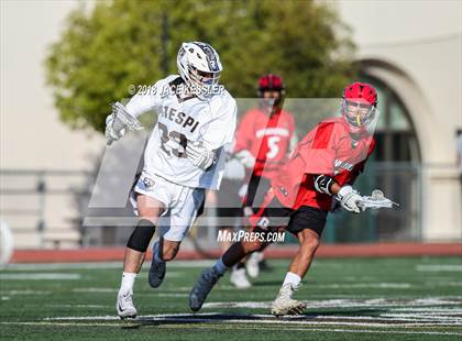 Thumbnail 1 in Glendale @ Crespi photogallery.