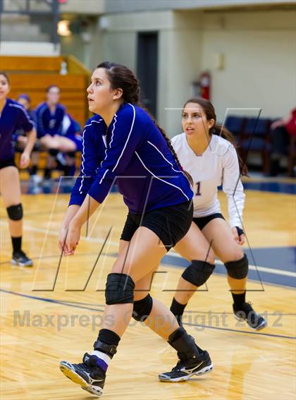 Thumbnail 3 in Stevens vs. Warren photogallery.