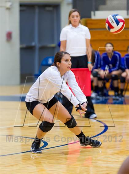 Thumbnail 3 in Stevens vs. Warren photogallery.