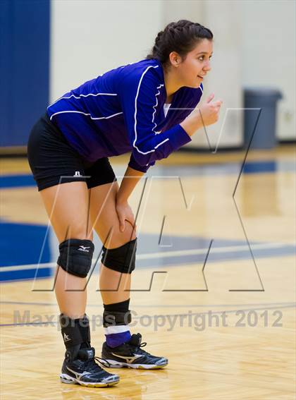 Thumbnail 3 in Stevens vs. Warren photogallery.