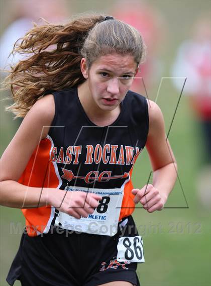 Thumbnail 2 in NYSPHSAA Cross Country Championships (Girls Class C) photogallery.