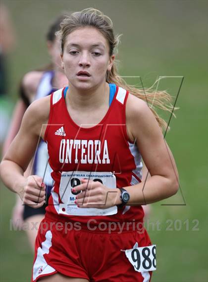 Thumbnail 2 in NYSPHSAA Cross Country Championships (Girls Class C) photogallery.
