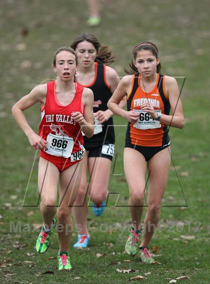 Thumbnail 2 in NYSPHSAA Cross Country Championships (Girls Class C) photogallery.