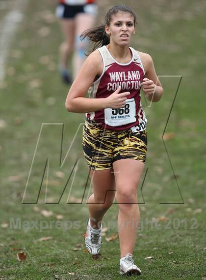 Thumbnail 1 in NYSPHSAA Cross Country Championships (Girls Class C) photogallery.