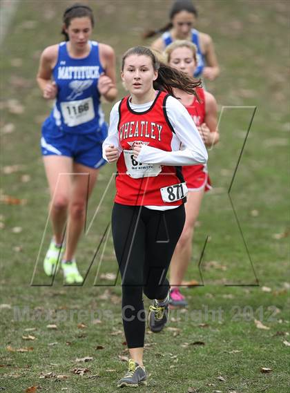 Thumbnail 1 in NYSPHSAA Cross Country Championships (Girls Class C) photogallery.