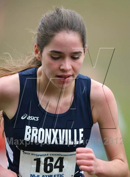 Thumbnail 1 in NYSPHSAA Cross Country Championships (Girls Class C) photogallery.