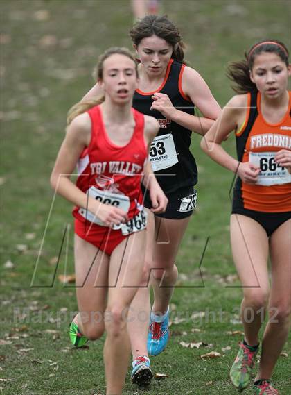 Thumbnail 1 in NYSPHSAA Cross Country Championships (Girls Class C) photogallery.