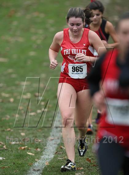 Thumbnail 1 in NYSPHSAA Cross Country Championships (Girls Class C) photogallery.