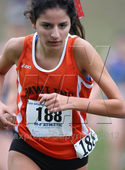 Thumbnail 3 in NYSPHSAA Cross Country Championships (Girls Class C) photogallery.