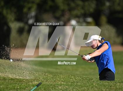 Thumbnail 2 in CIF State Golf Championship photogallery.