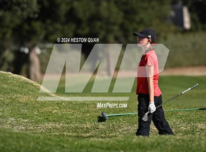 Thumbnail 2 in CIF State Golf Championship photogallery.