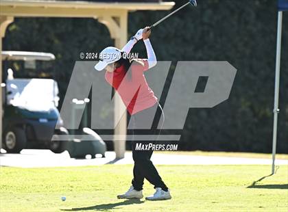 Thumbnail 2 in CIF State Golf Championship photogallery.