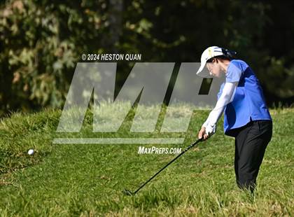 Thumbnail 1 in CIF State Golf Championship photogallery.