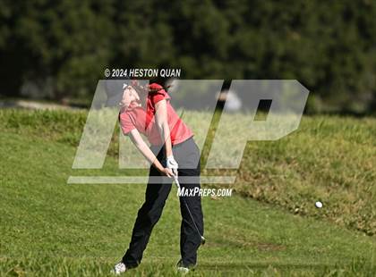 Thumbnail 2 in CIF State Golf Championship photogallery.
