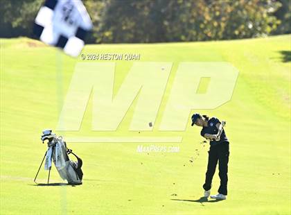 Thumbnail 2 in CIF State Golf Championship photogallery.
