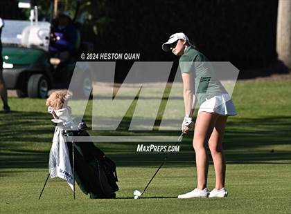 Thumbnail 2 in CIF State Golf Championship photogallery.