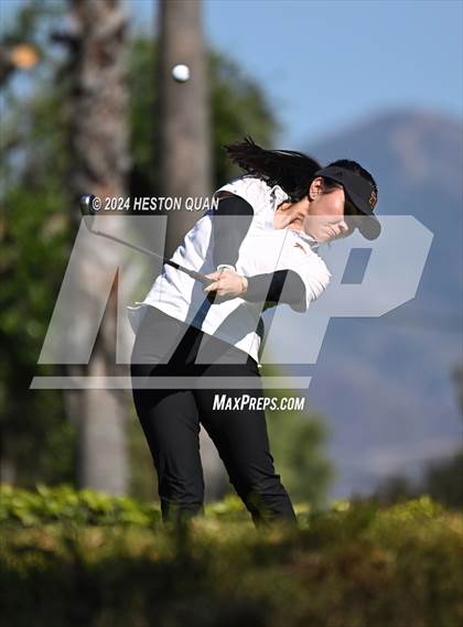 Thumbnail 2 in CIF State Golf Championship photogallery.