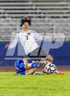 Photo from the gallery "Newark Memorial vs. Santa Rosa"