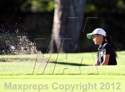 Thumbnail 2 in CIF State Girls Golf Championships photogallery.