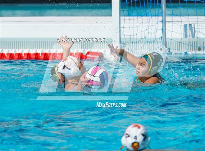 null - Photo 01