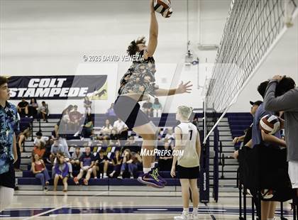 Thumbnail 3 in JV: Perry @ Casteel photogallery.