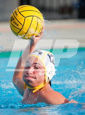 Sunny Hills @ Sonora