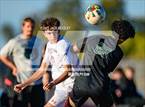 Photo from the gallery "Westwood @ Basha"