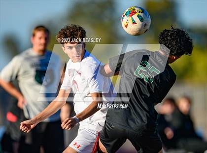 Thumbnail 1 in Westwood @ Basha photogallery.