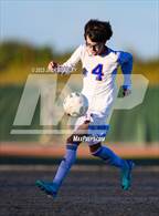 Photo from the gallery "Westwood @ Basha"