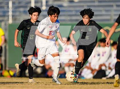 Thumbnail 1 in Westwood @ Basha photogallery.