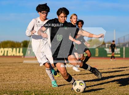 Thumbnail 2 in Westwood @ Basha photogallery.