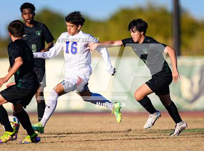 Thumbnail 2 in Westwood @ Basha photogallery.