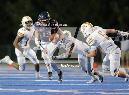 Thumbnail 1 in Crespi @ Chaminade photogallery.
