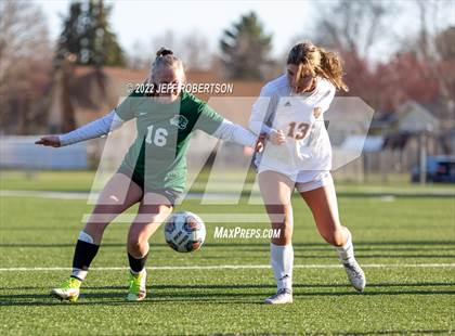 Thumbnail 2 in Rockford @ Jenison photogallery.