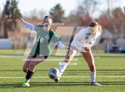 Thumbnail 1 in Rockford @ Jenison photogallery.