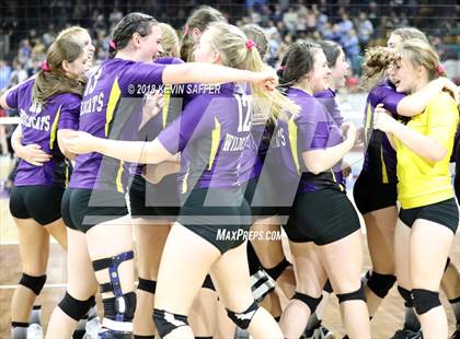 Thumbnail 3 in Kit Carson vs. La Veta (CHSAA 1A Final) photogallery.
