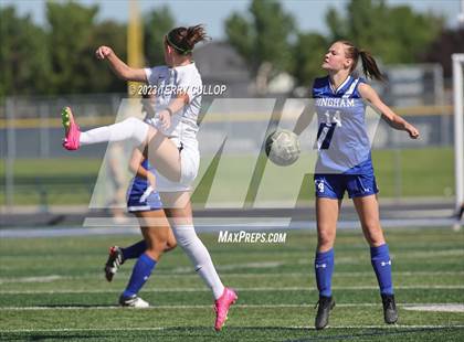 Thumbnail 2 in Farmington @ Bingham photogallery.