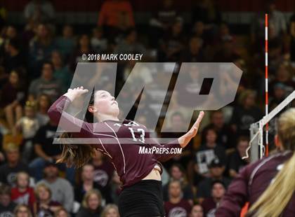 Thumbnail 3 in Troy vs. West (UIL 3A Regional Quarterfinal) photogallery.