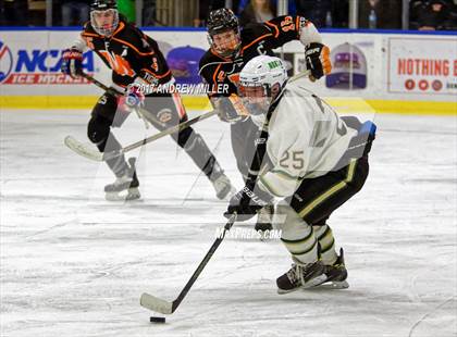 Thumbnail 3 in Williamsville North vs. Mamaroneck  (NYSPHSAA Division I Semifinal) photogallery.