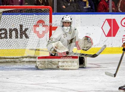 Thumbnail 3 in Williamsville North vs. Mamaroneck  (NYSPHSAA Division I Semifinal) photogallery.
