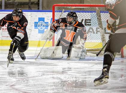 Thumbnail 3 in Williamsville North vs. Mamaroneck  (NYSPHSAA Division I Semifinal) photogallery.