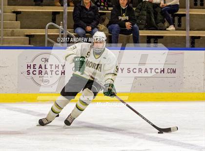 Thumbnail 3 in Williamsville North vs. Mamaroneck  (NYSPHSAA Division I Semifinal) photogallery.