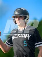 Photo from the gallery "Great Bridge @ Hickory"