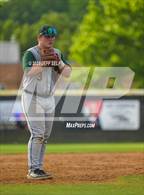 Photo from the gallery "Great Bridge @ Hickory"