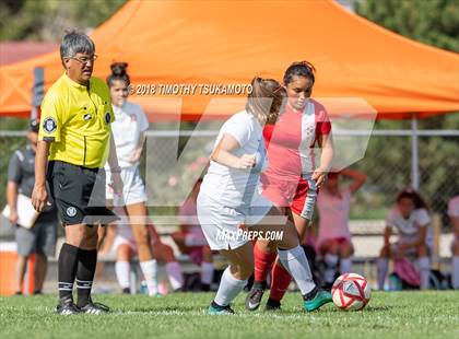 Thumbnail 3 in Douglas @ Wooster  photogallery.