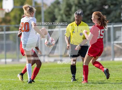 Thumbnail 3 in Douglas @ Wooster  photogallery.