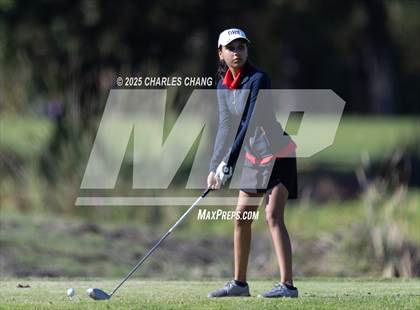 Thumbnail 3 in CIF NCS D1 Golf Championship photogallery.