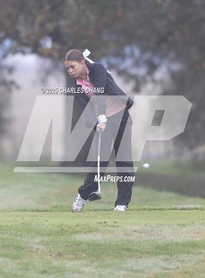 Thumbnail 2 in CIF NCS D1 Golf Championship photogallery.