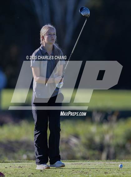 Thumbnail 1 in CIF NCS D1 Golf Championship photogallery.