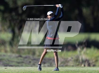 Thumbnail 1 in CIF NCS D1 Golf Championship photogallery.